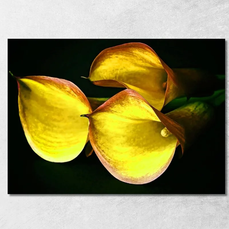 Quadro Astratto Calla Delicata quadro stampa su tela