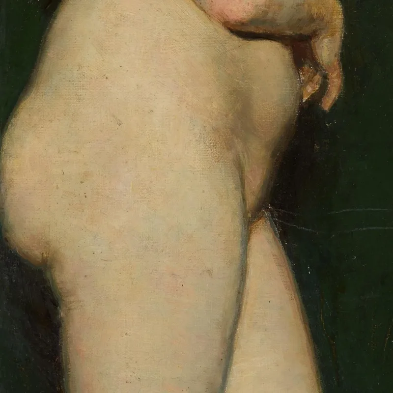 Estudio Modelo Anders Zorn