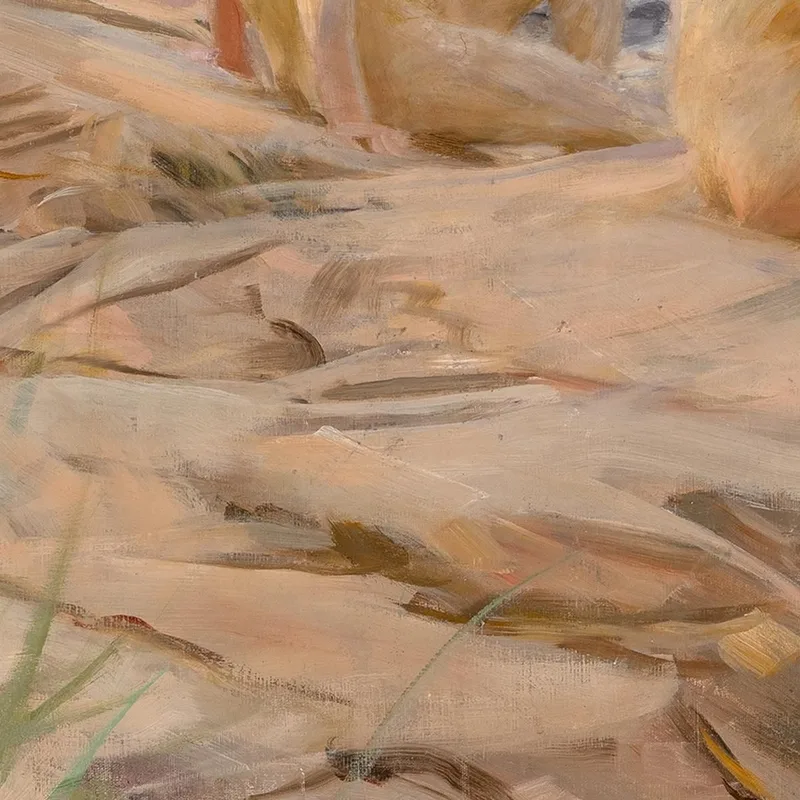 En Plein Air Anders Zorn