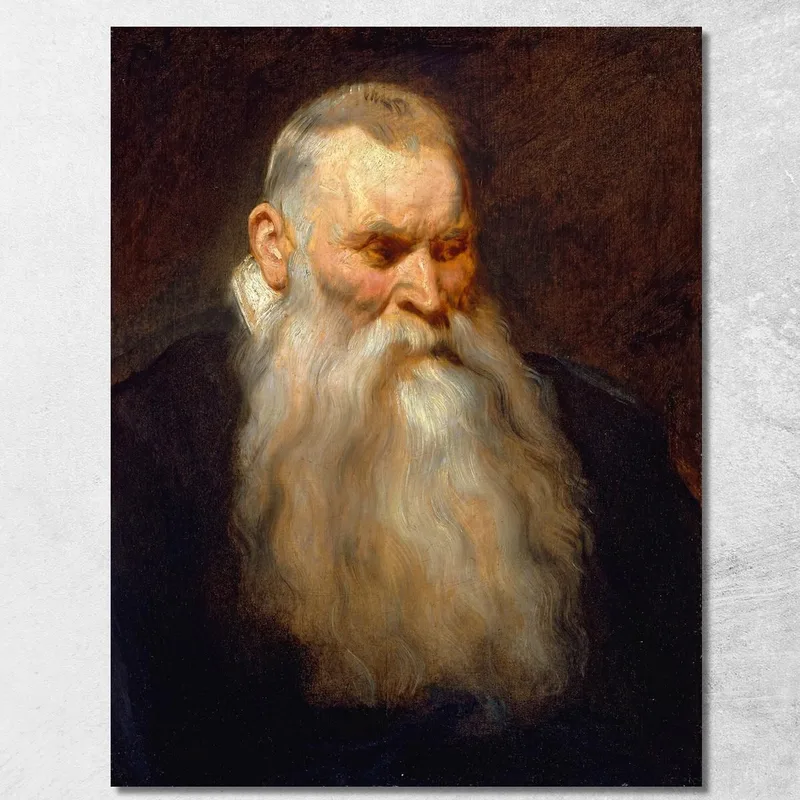 Testa Di Studio Di Un Vecchio Con La Barba Bianca Anthony van Dyck