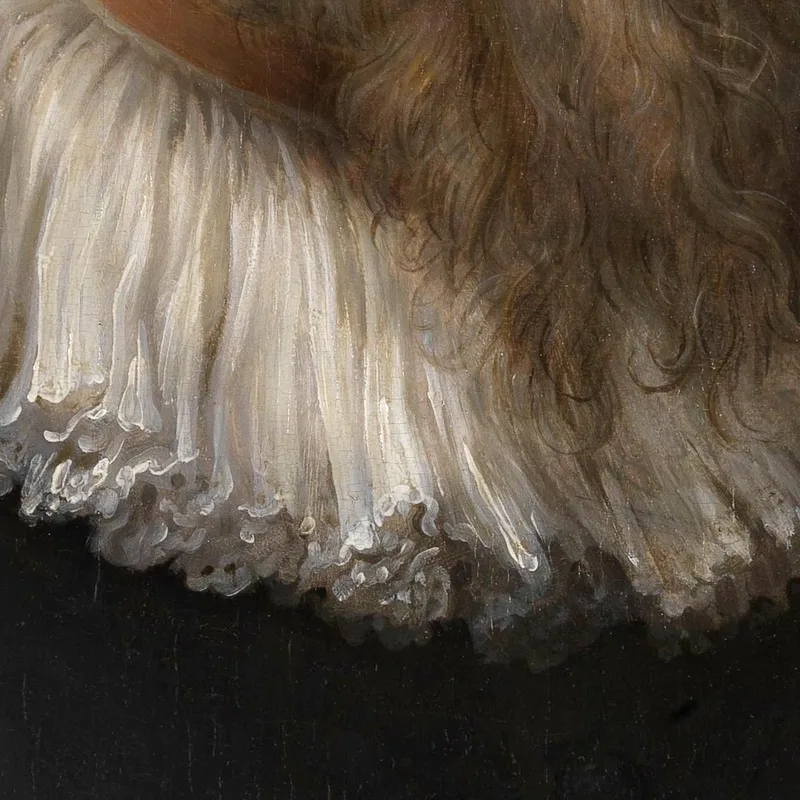 Il Pittore Marten Pepijn Anthony van Dyck