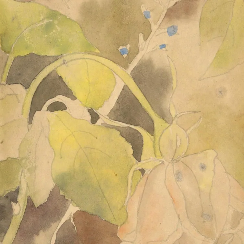Rosa Pesca Charles Demuth