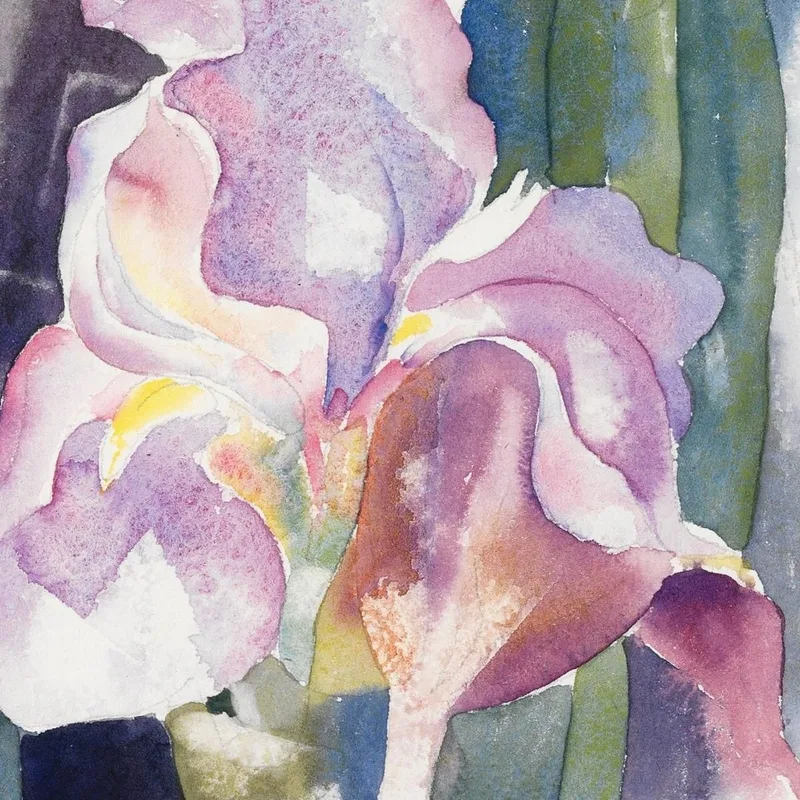 Iris Morado Charles Demuth