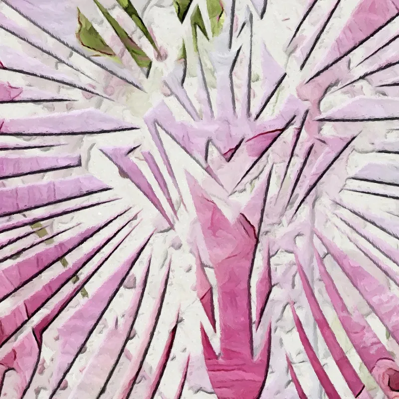 Arte floral de mariposa rosa