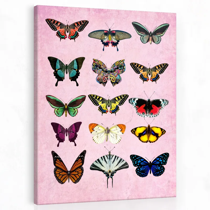 Collection de Papillons Colorés tableau moderne