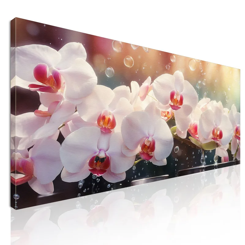 Quadro Botanico Orchidee Bianche E Rosa Con Gocce D'Acqua quadro stampa su tela