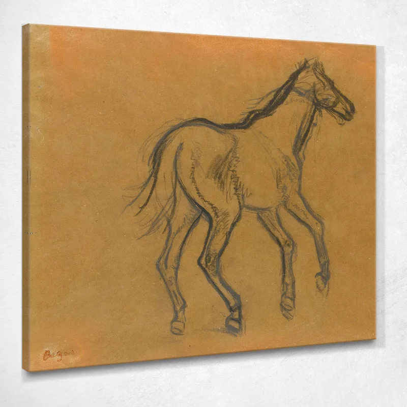 Horse Study Edgar Degas