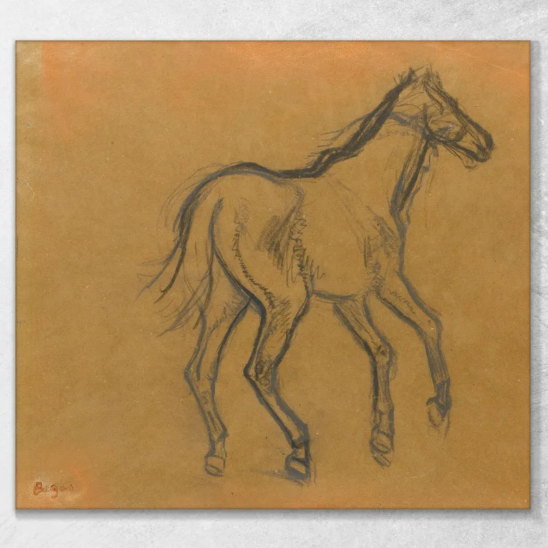Horse Study Edgar Degas