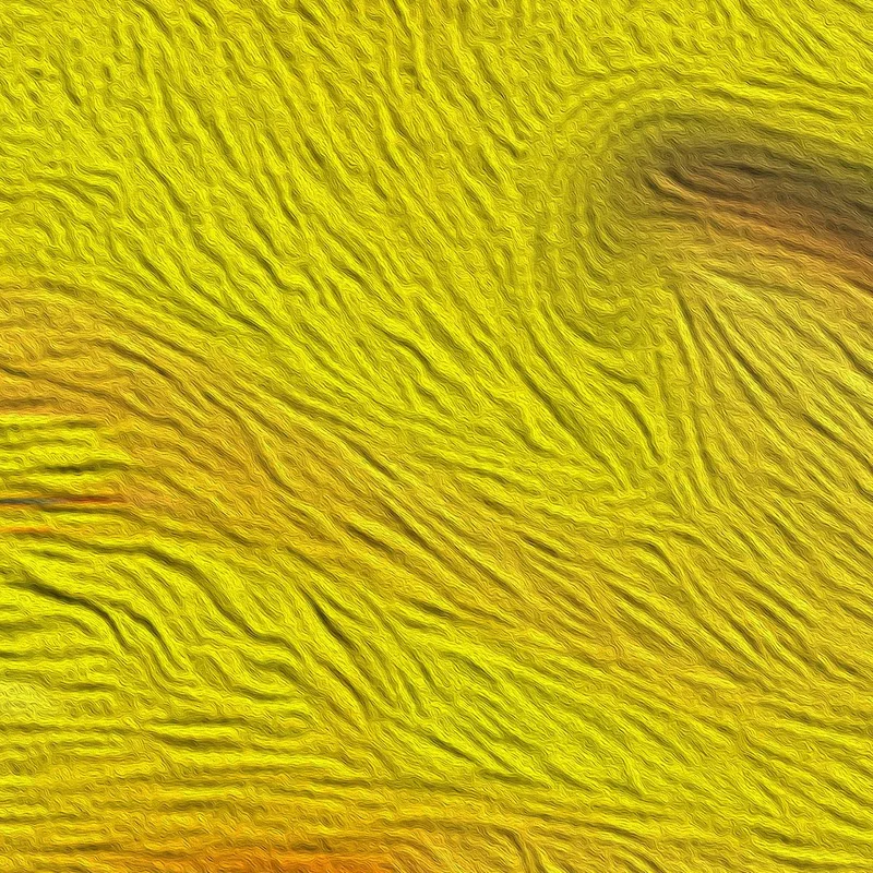 Stampa su canvas arte astratta colorata