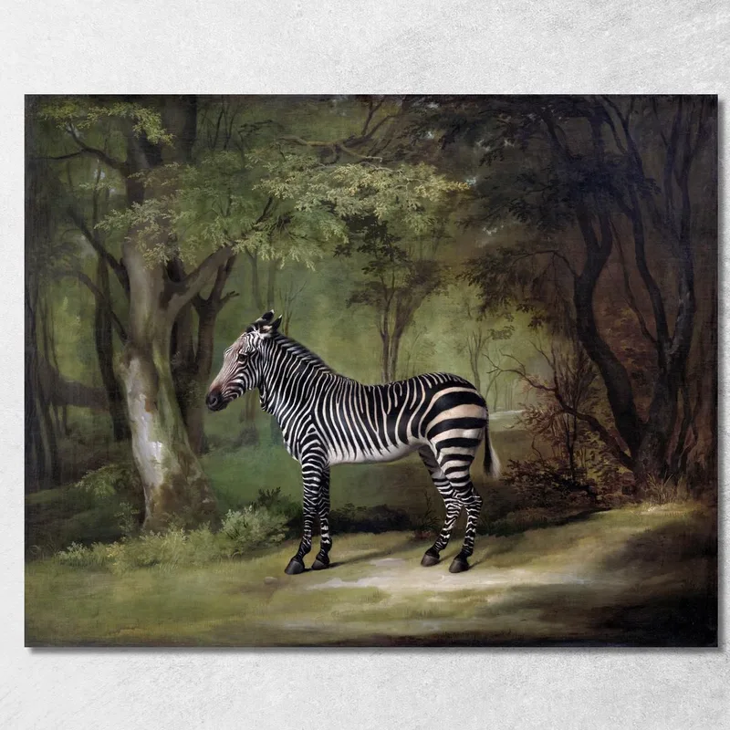 Cebra 1763 George Stubbs
