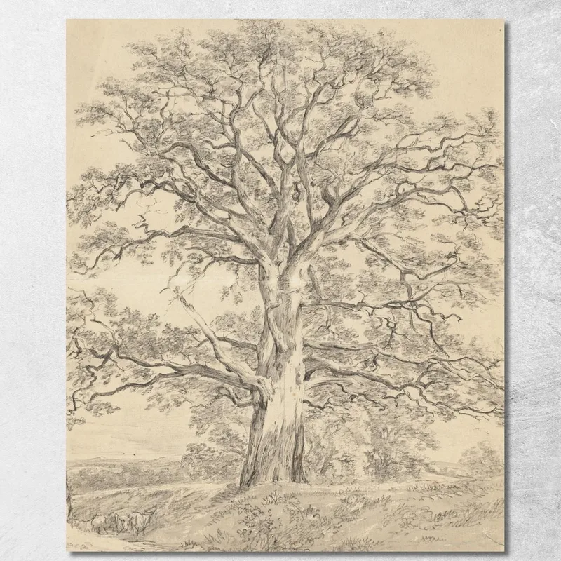 Eine Große Eiche John Constable drucken auf leinwand