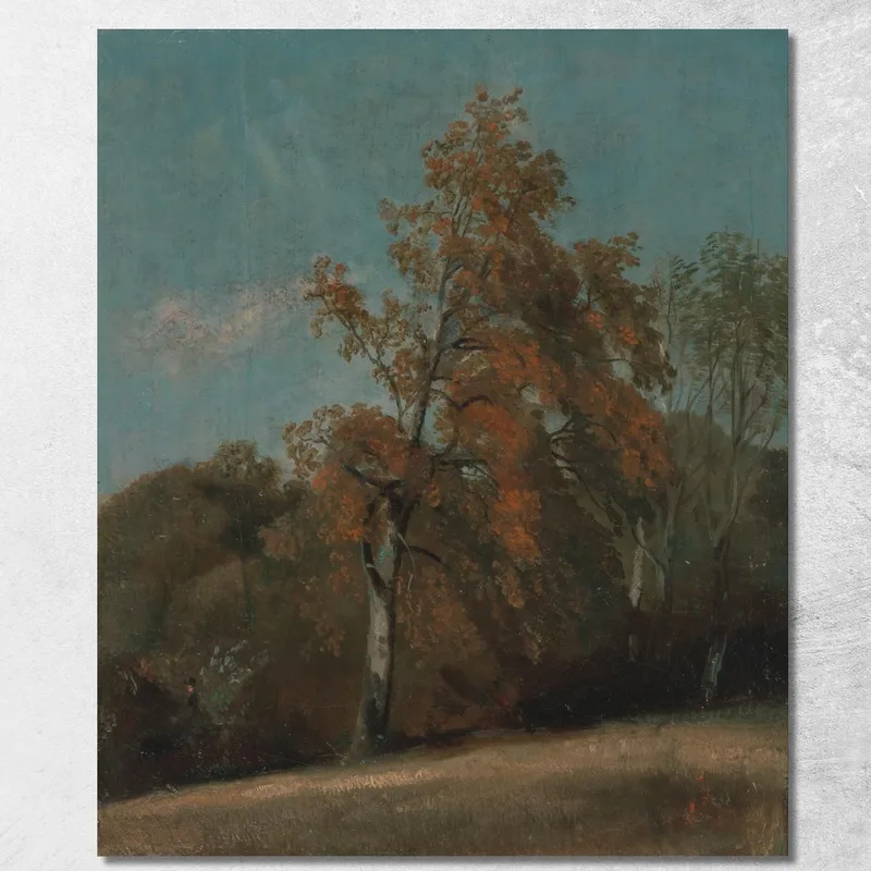 Étude D'Un Frêne John Constable