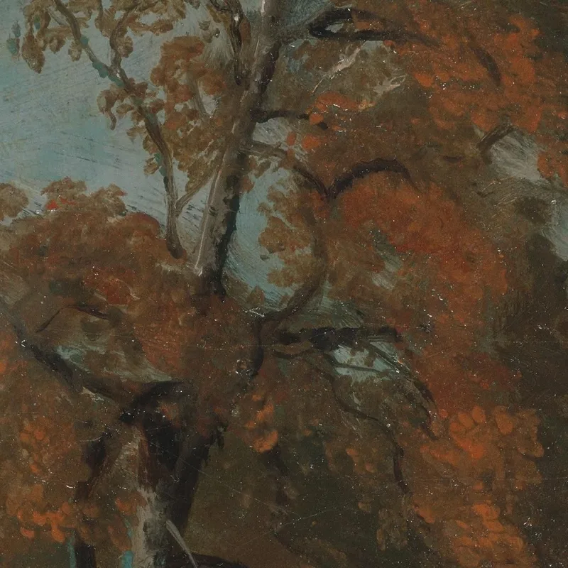 Étude D'Un Frêne John Constable