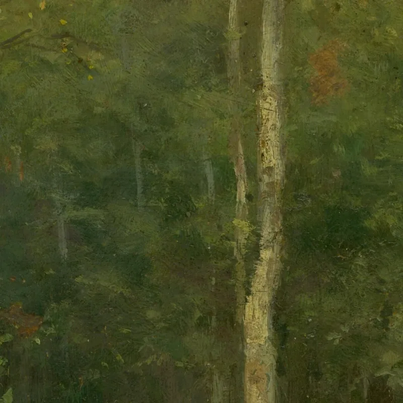 Paesaggio Boscoso Con Piccole Betulle Ľudovít Čordák
