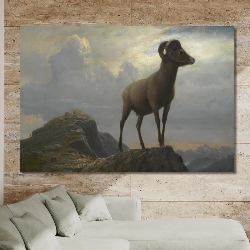 Studio Di Un Ariete Bighorn Albert Bierstadt quadro stampa su tela