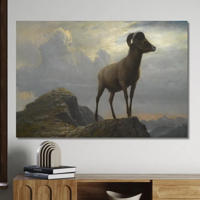 Studio Di Un Ariete Bighorn Albert Bierstadt quadro stampa su tela