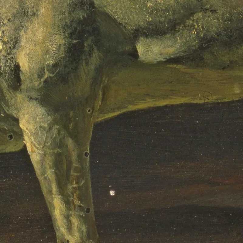 Cavallo Bianco E Tramonto Albert Bierstadt