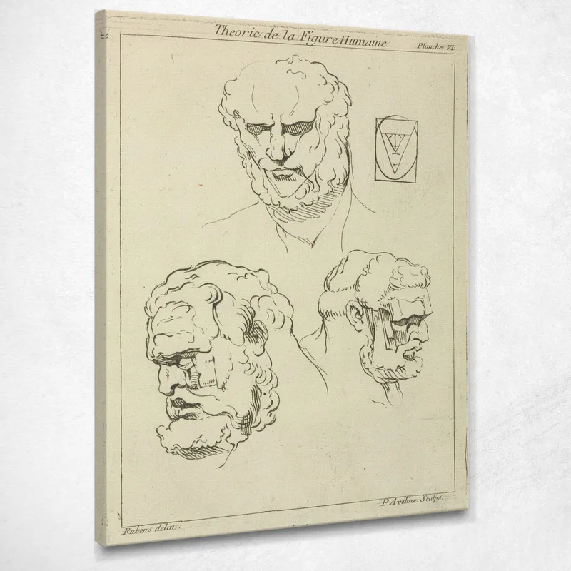 Tres Estudios De La Cabeza Y La Barba De Un Hombre. Peter Paul Rubens