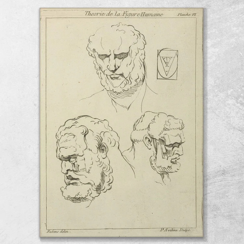 Tres Estudios De La Cabeza Y La Barba De Un Hombre. Peter Paul Rubens
