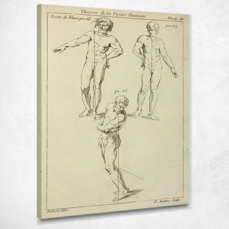 Drei Studien Männlicher Figuren Peter Paul Rubens