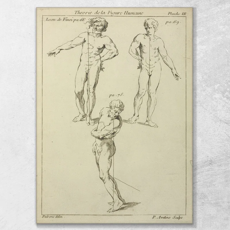 Drei Studien Männlicher Figuren Peter Paul Rubens