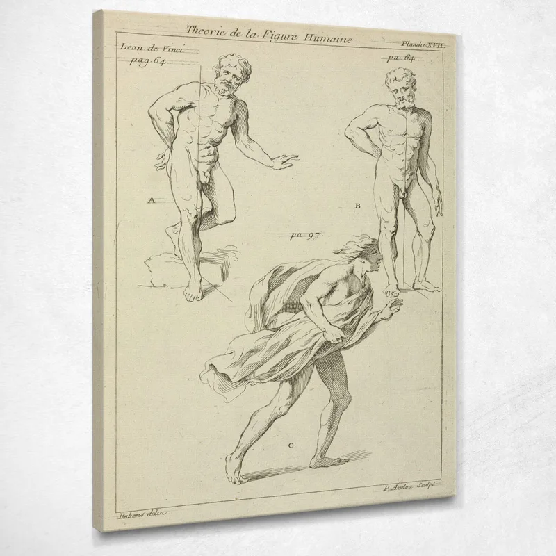 Tres Estudios De La Figura Peter Paul Rubens