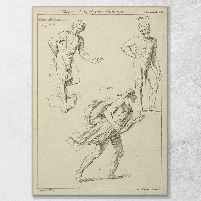 Tres Estudios De La Figura Peter Paul Rubens