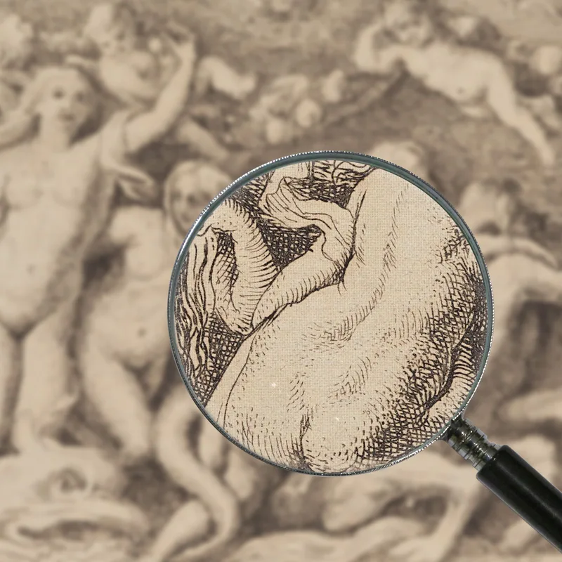 Venere Che Sorge Dal Mare Peter Paul Rubens