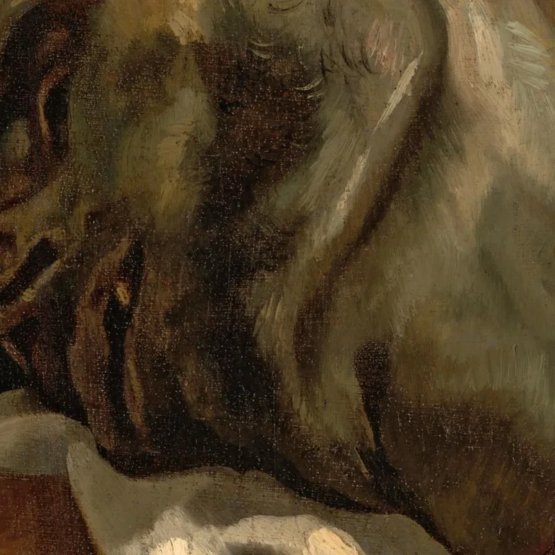 Testa Di Uomo Ghigliottinato Théodore Géricault
