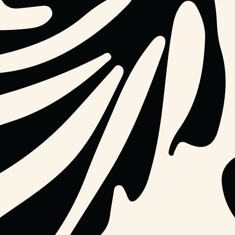 Collages di Matisse stampa su tela
