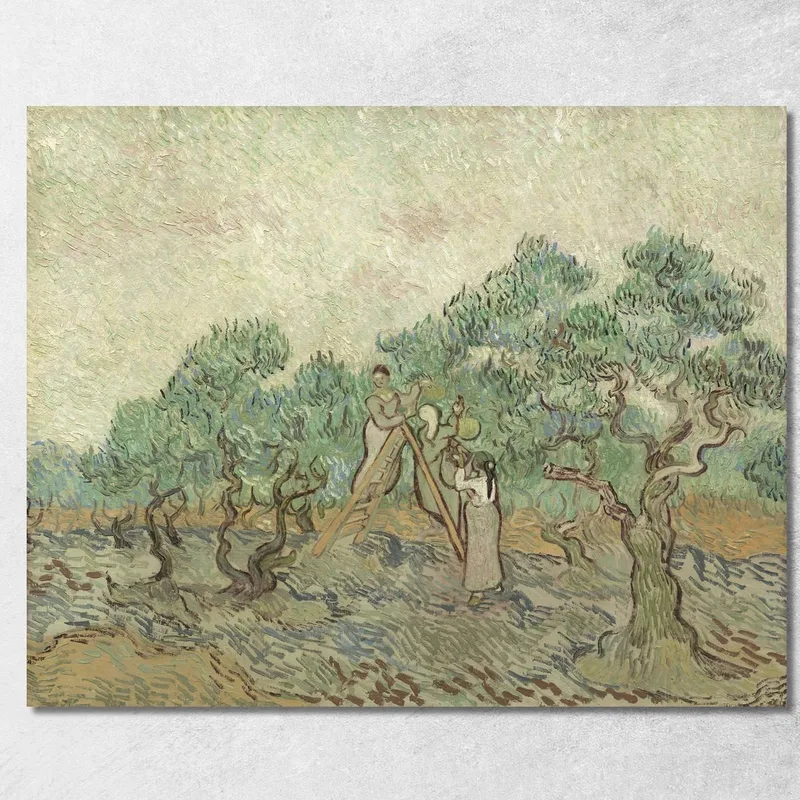 L'Oliveraie 1889 Vincent van Gogh