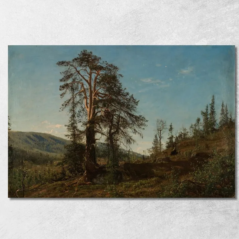 À Vingerasheia Telemark Amaldus Nielsen