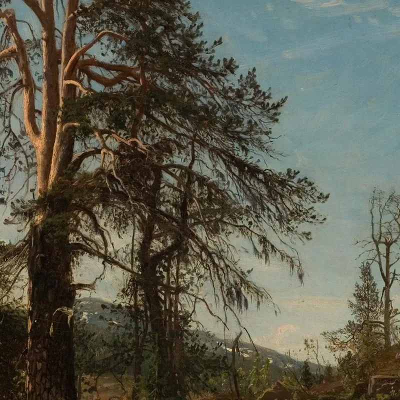 À Vingerasheia Telemark Amaldus Nielsen