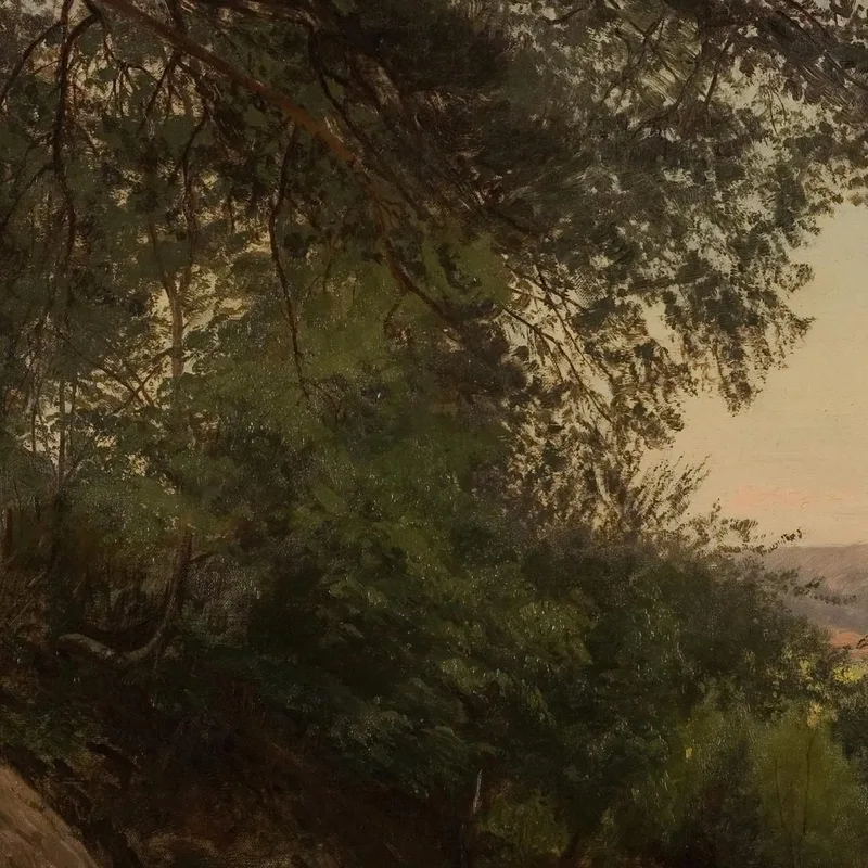 Entre Los Árboles. Lervik Stord Amaldus Nielsen