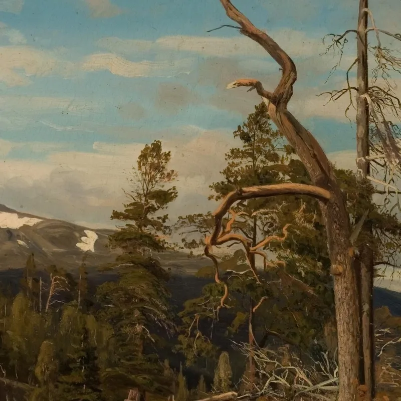 Parte Superior De Setesdal Amaldus Nielsen