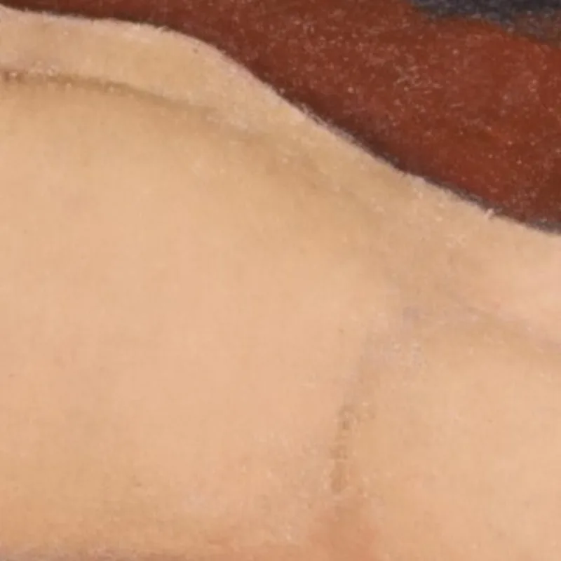 Reclining Nude Amedeo Modigliani